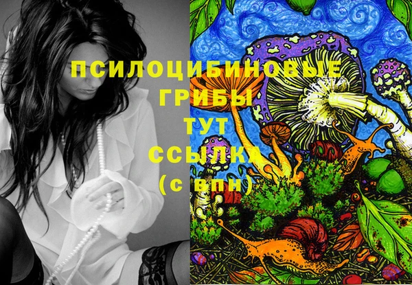 бошки Няндома