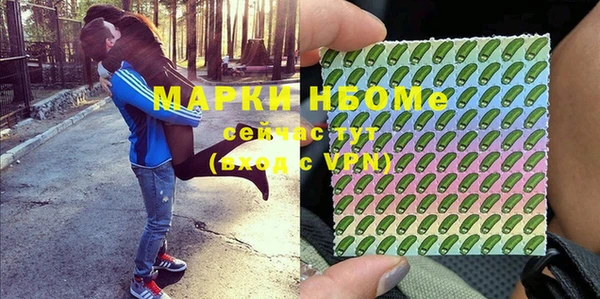 бошки Няндома