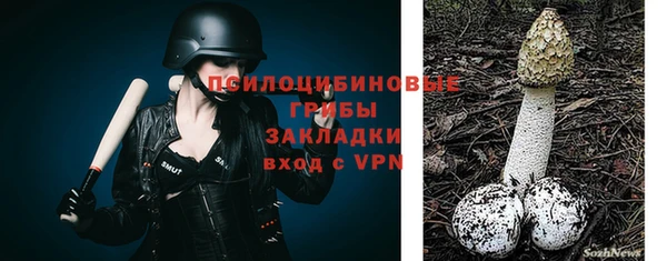 бошки Няндома