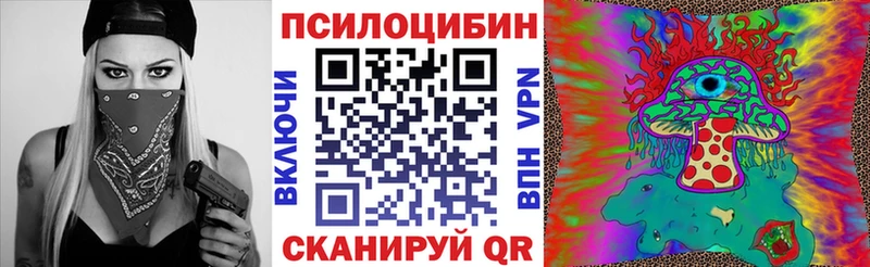 купить  цена  KRAKEN онион  Псилоцибиновые грибы Psilocybe  Покров 